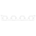 Cometic Gasket intake system