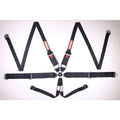 Racequip black auto part