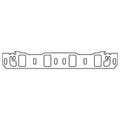 Cometic Gasket intake system