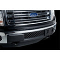 Putco bumper detail