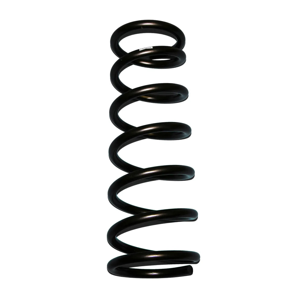 Skyjacker black springs
