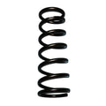 Skyjacker black springs
