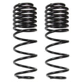 Skyjacker springs