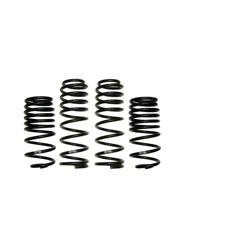Skyjacker springs