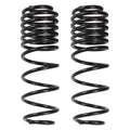 Skyjacker springs