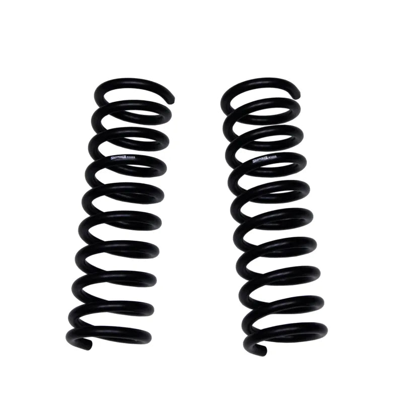 Skyjacker springs