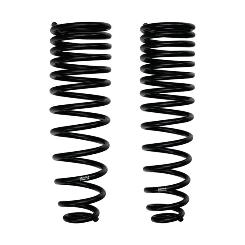 Skyjacker springs