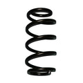 Skyjacker springs