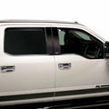 Putco auto part installed view