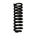 Skyjacker springs