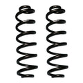 Skyjacker black springs