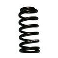 Skyjacker springs
