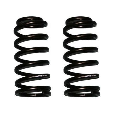 Skyjacker black springs