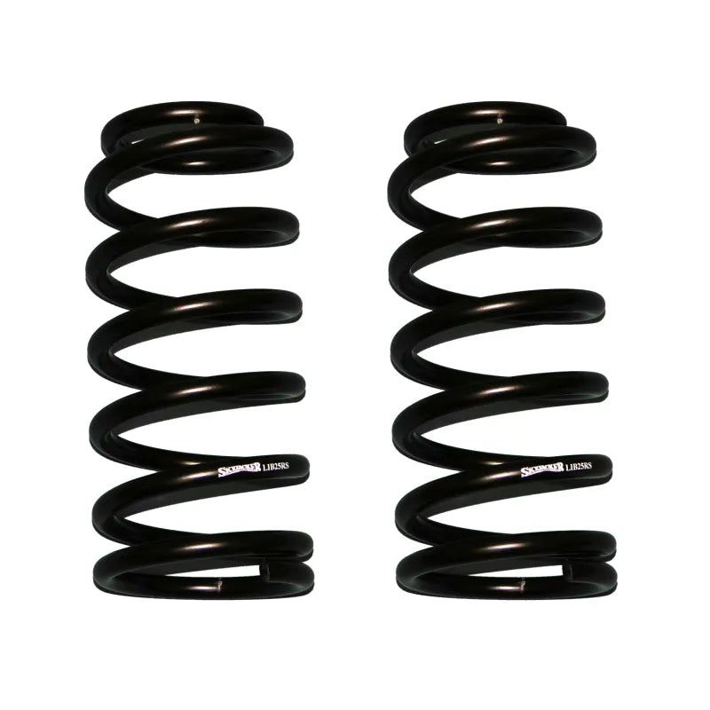 Skyjacker black springs