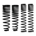 Skyjacker springs