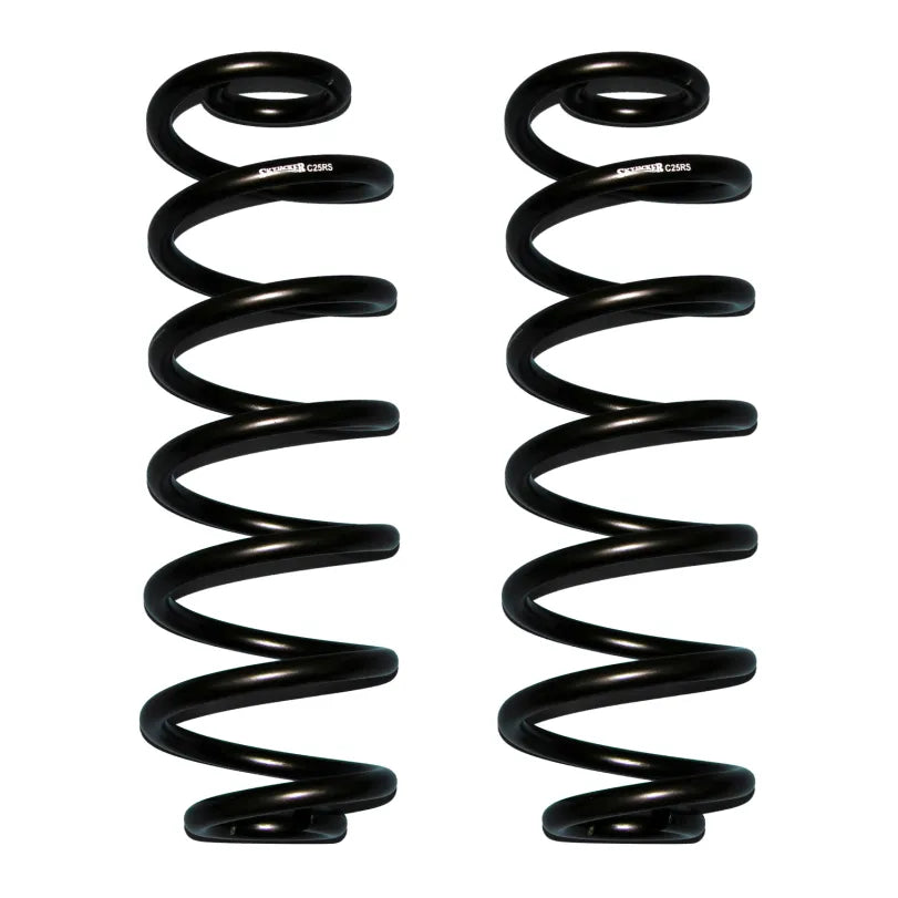 Skyjacker black springs