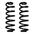 Skyjacker black springs