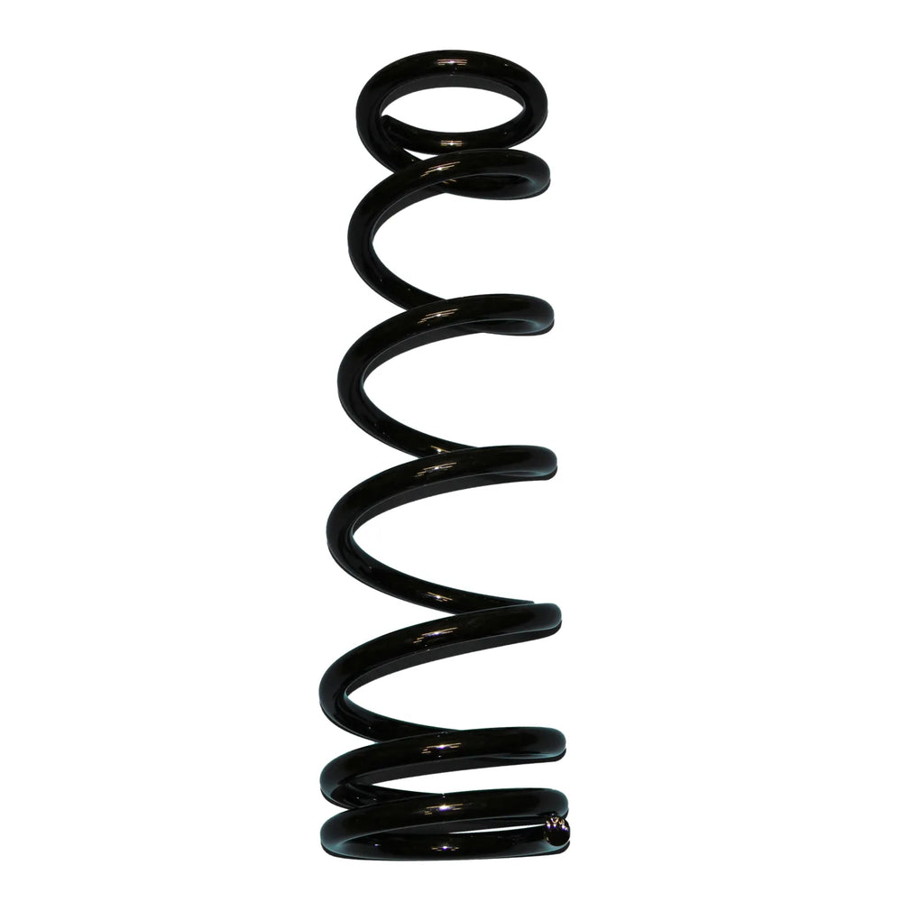 Skyjacker black springs