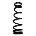 Skyjacker black springs