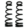 Skyjacker springs