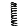 Skyjacker springs