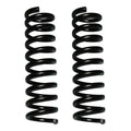 Skyjacker black springs