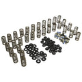 COMP Cams springs detail