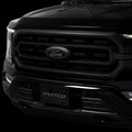 Putco auto part installed view