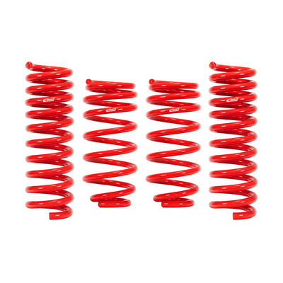Eibach auto part