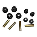 Skyjacker leaf springs