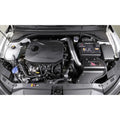 AEM cold air intake