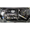 AEM cold air intake