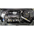 AEM cold air intake