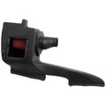 AEM cold air intake