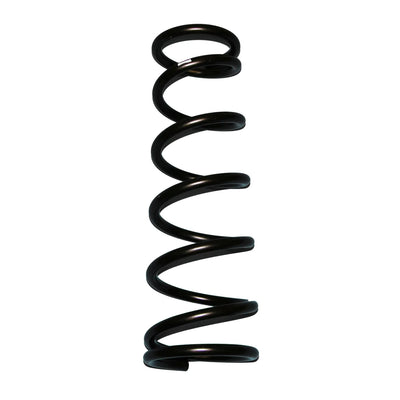 Skyjacker black springs