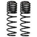 Skyjacker springs