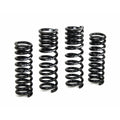 H&R springs