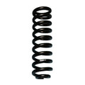 Skyjacker black springs