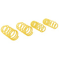 Suspension Techniques springs