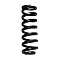 Skyjacker springs