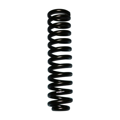 Skyjacker black springs