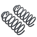 Suspension Techniques springs