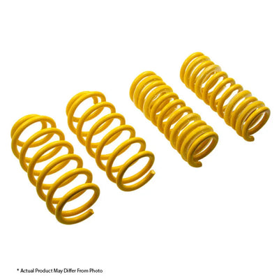 Suspension Techniques springs