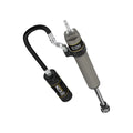 ICON shock absorber