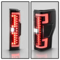 SPYDER tail light installed view
