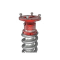 aFe coilovers detail