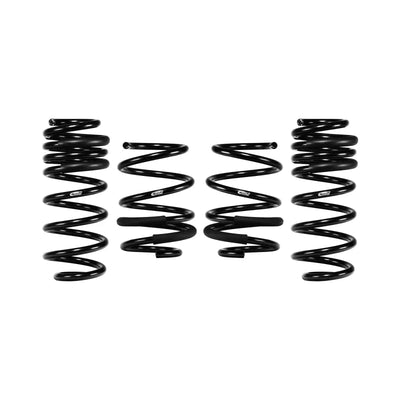 Eibach auto part
