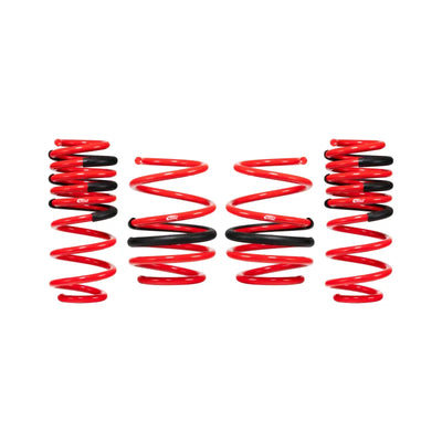 Eibach springs