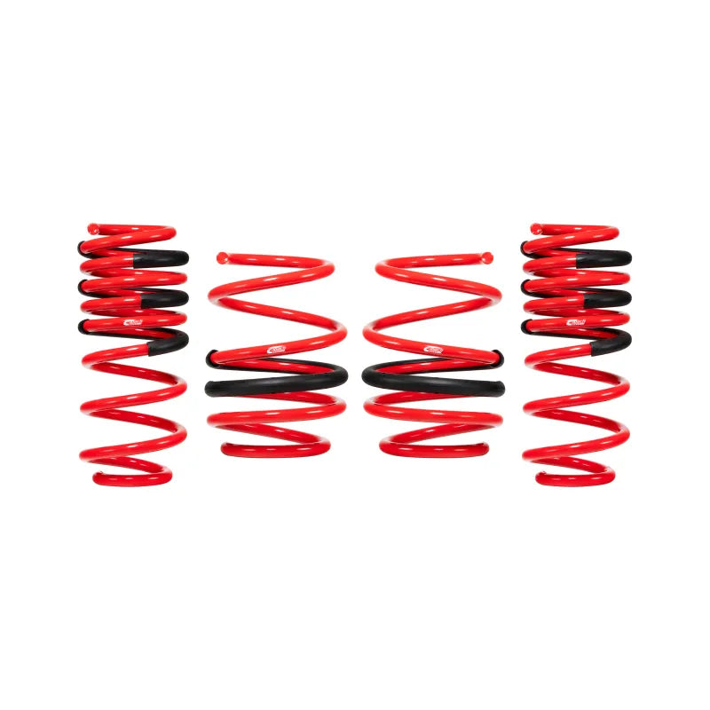 Eibach springs