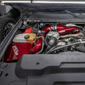 Wehrli intake system